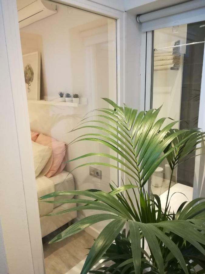 Daniela Apartament