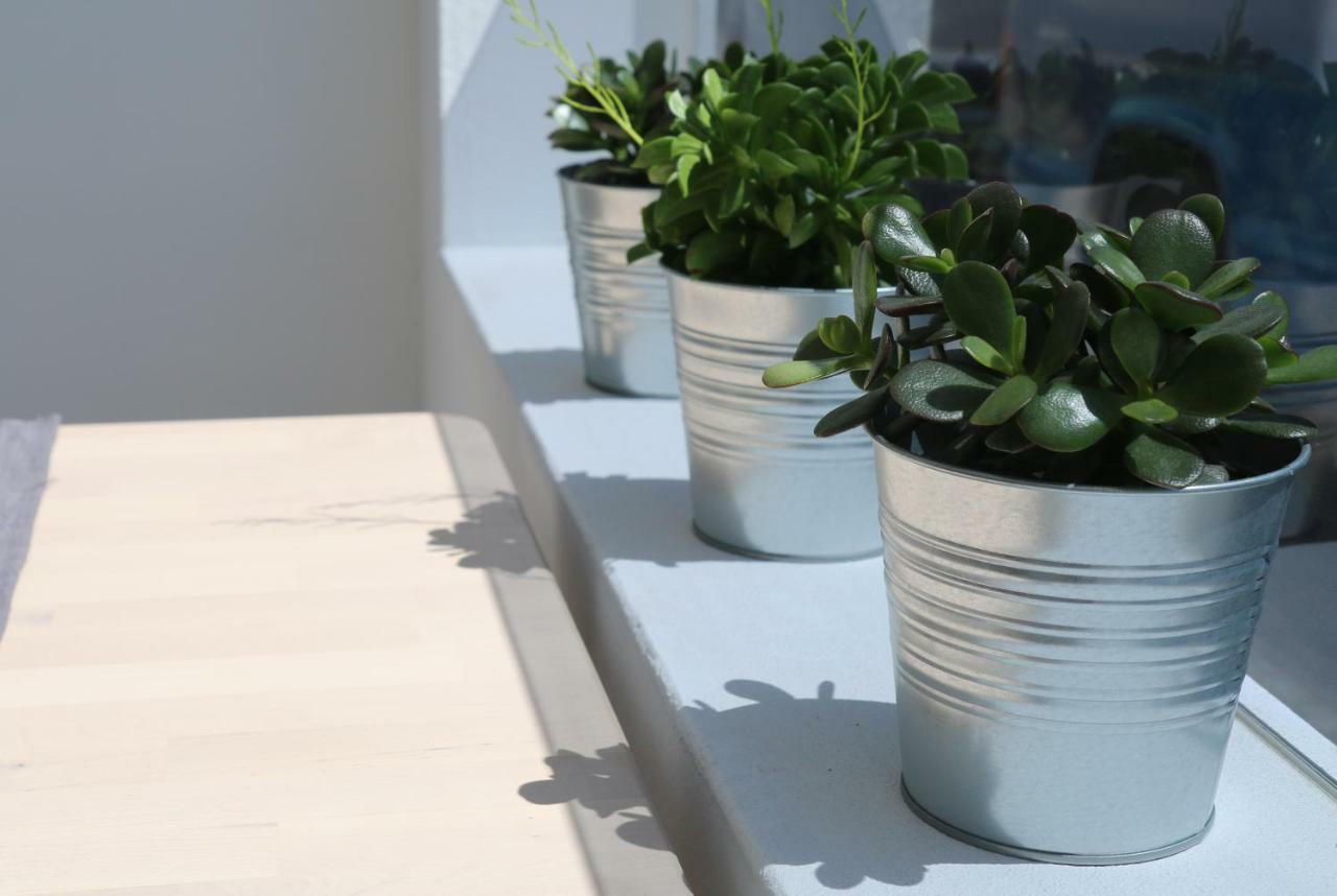 Apartament Daniela Puerto del Carmen (Lanzarote)